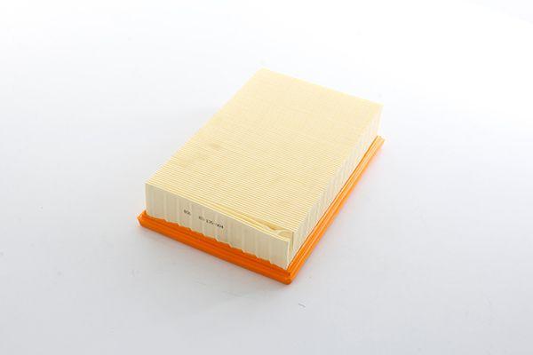 Bsg 63-135-004 Air Filter Navara (D40): Patfhınder (R51) 05-10 2.5 dCi:3.0 dCi 05-15 — Air & Cabin Filters