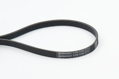 CONTINENTAL CTAM 5PK1125 V Belt Renault Laguna II Opel Movano-Vivaro A — Belts