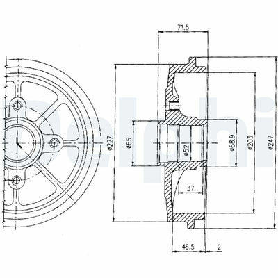 Delphi BF392 Brake Drum 98 Pt.206 HDi Quality Brake Drum 203 mm Compatible with Peugeot 206 — Brake Rotors & Drums