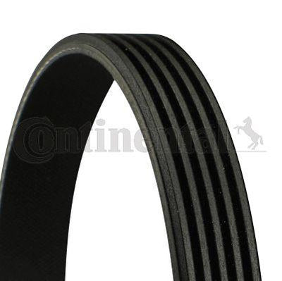 CONTINENTAL CTAM 5PK1140 Alternator + Steering Belt Kangoo Clio 1,5 dCi 01-without A/C