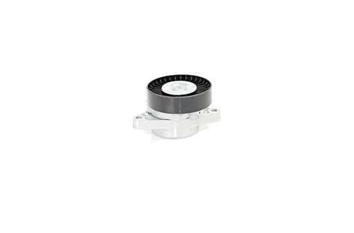 Bsg 60-615-020 V-Belt Tensioner Complete Bm-220-163-210-219 112-113 96-09 — Pulleys & Tensioners