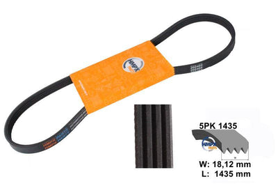 HMPX PARTS 5PK 1435 Fan Belt Passat-A4 1.9 TDI Avb-Avf