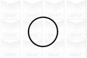 GRAF PA1041 Mechanical Water Pump for VW Touareg, GRAF PA1041 Water Pump showing technical specs, GRAF mechanical water pump installation diagram GRAF PA1041 Mechanical Water Pump - Water Cooling for VW Touareg, Q7 and Cayenne 3.2-3.6 V6 | 3.2-3.6L GRAF PA1041 Mechanical Water Pump for VW Touareg, Q7, Cayenne water-pump, mechanical-water-pump, vw-touareg-parts, vw-q7-parts, porsche-cayenne-parts, car-maintenance, cooling-system, engine-parts, grap-water-pump, ai-generated