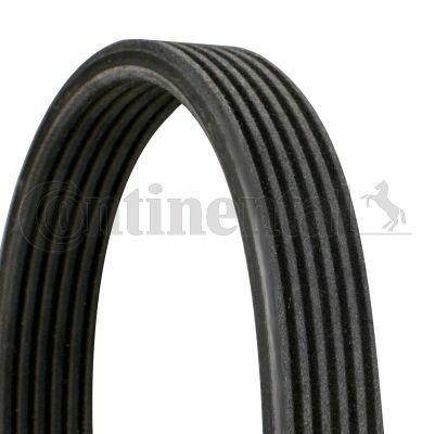 Continental V Belt - CTAM 6DPK1188 for Polo 1.4 TDI — Belts