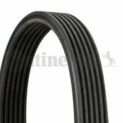 continental v belt for polo 1.4 tdi, continental ctam 6dpk1188 v belt Continental V Belt - CTAM 6DPK1188 for Polo 1.4 TDI | 1188 mm Length Continental V Belt for Polo 1.4 TDI - 1188 mm continental, v-belt, polo-14-tdi, car-parts, mechanics, auto-accessories, engine-components, car-repair, automotive, ai-generated
