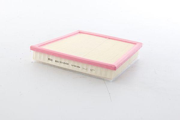 Bsg 15-135-039 Air Filter 1F40-F52-2F45-F46-X1 F48-X1 F49-X2 F39 Bm 14-19 — Air & Cabin Filters