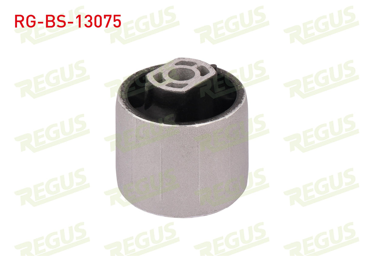 REGUS RG-BS-13075 Control Arm Bushing Rear Left-Right Volkswagen Jetta III (1K2) 1.6 TDI 2005-2010 — Bushings & Mounts