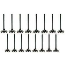TETIK Opel Meriva A Engine Valve Set - High Quality Intake and Exhaust Valves for Z16XE — Valvetrain