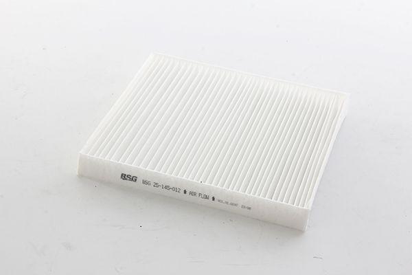 Bsg 25-145-012 Cabin Air Filter Chrysler-Sebring / Freemont / Dodoge / Jeep Bm 07 — Air & Cabin Filters