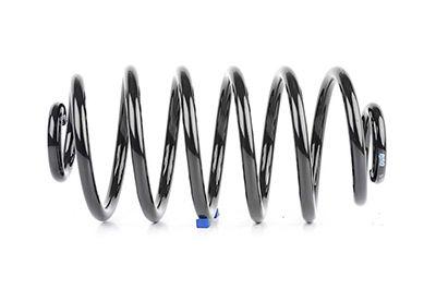 Bsg 65-305-016 Coil Spring Rear Combo C Bm 02 — Springs