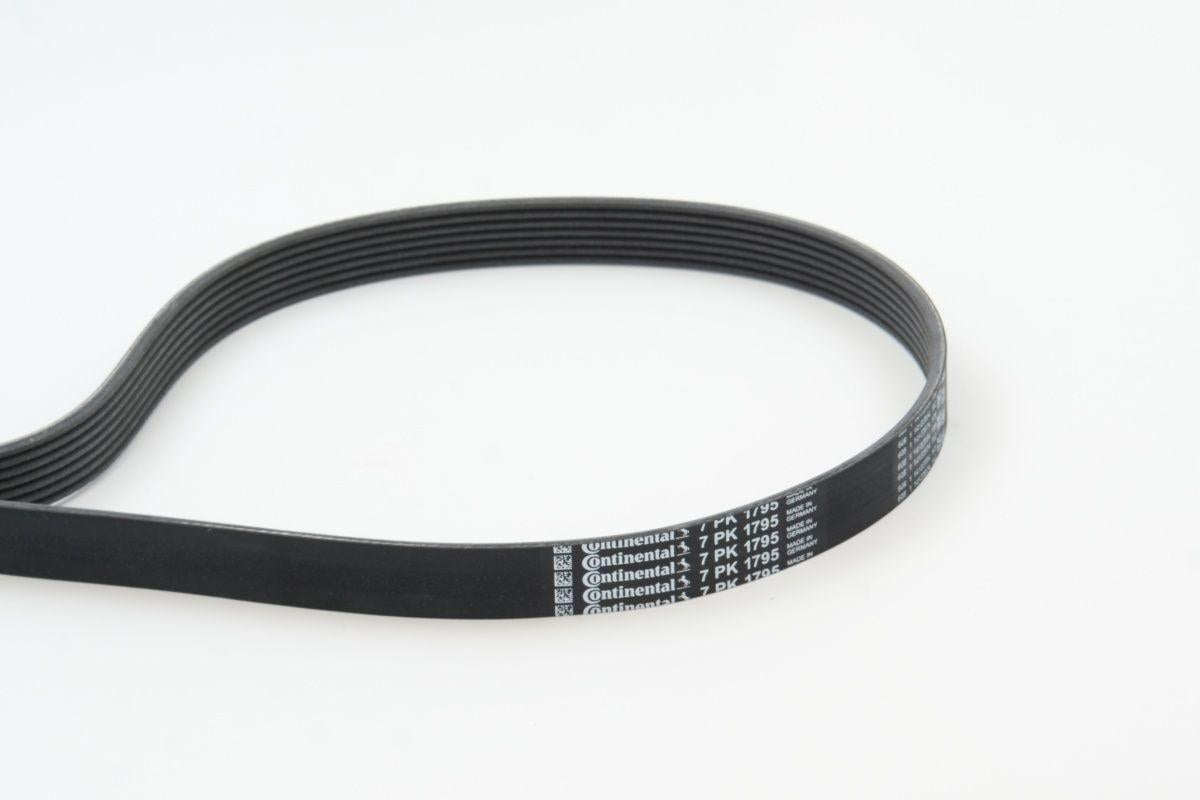 CONTINENTAL CTAM 7PK1795 V-Ribbed Belt Master II-III 2.2/2.5, Laguna II and 2 more models — Belts