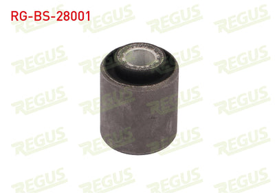 REGUS RG-BS-28001 Denge Arm Bushing Rear Left-Right Mercedes 190 (W201) 2.0 1982-1993 — Bushings & Mounts