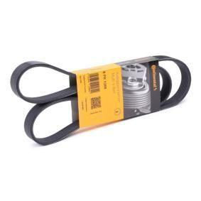Continental Alternator Belt 6 PK 1205 - Compatible with Nissan QashQai (2007-2014) — Starting & Charging