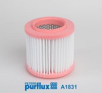 PURFLUX A1831 Air Filter - Replacement for Audi A8 — Air & Cabin Filters
