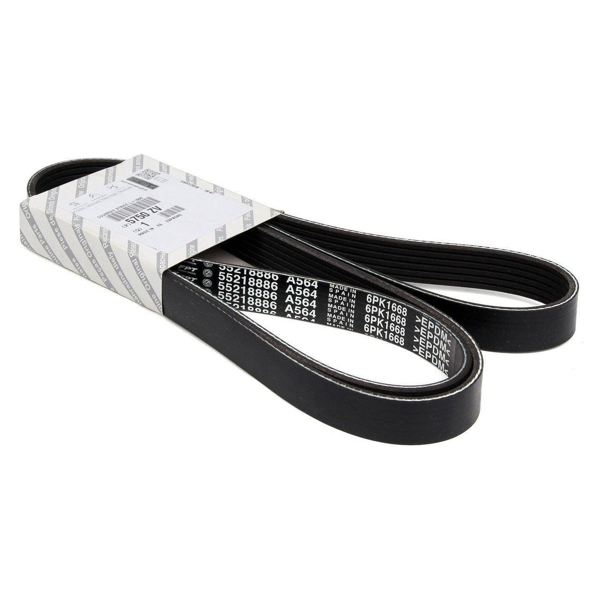 Fiat Egea 1.3 Multijet Euro 5 V Belt — Belts