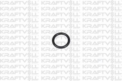 Kraftvoll 10060369 Intake Manifold Gasket O-Ring Set Bushing C1 C2 C3 P107 P206 P207 P307 1,4Hdi Dv4d 8Hx — Gaskets & Seals