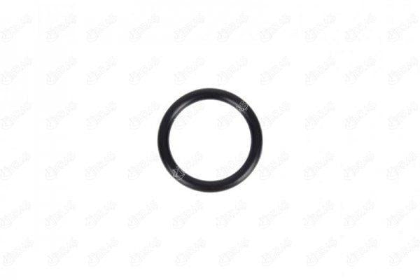 IBRAS Water Pump Pipe Gasket - 28mm X 4mm for Dacia Dokker & Duster — İbraş, Water Pump & Thermostat