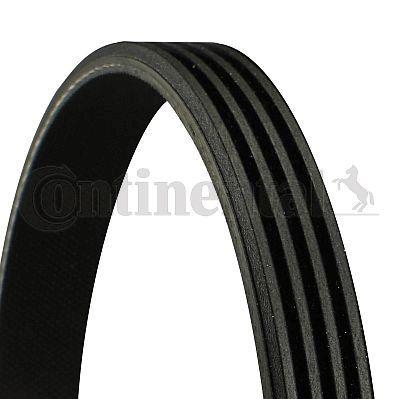 Continental CTAM 4PK836 - Climate Belt for BMW E46, E60 and 2 more models — Belts