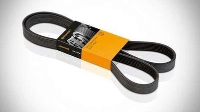 CONTINENTAL CTAM 7PK3120 V Belt Transit V-347 / V-363 2,2 TDCi 11 — Belts