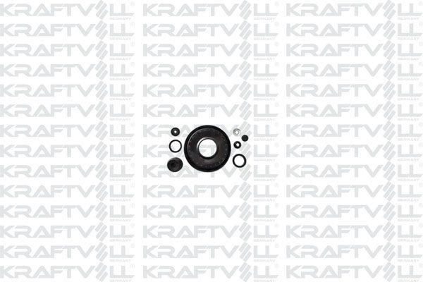 Kraftvoll 21031947 Westınhouse Repair Kit Dks 1.6 R12