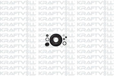 Kraftvoll 21031947 Westınhouse Repair Kit Dks 1.6 R12