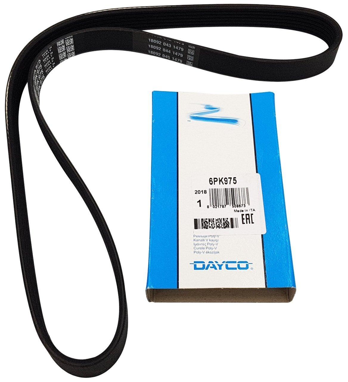 DAYCO Drive Belt for Ford Focus 1.6 TDCi — Belts