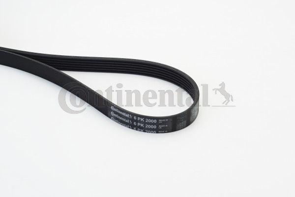 Continental CTAM 6PK2000 V-Belt for 06 Crafter 2.5TDI AC — Belts