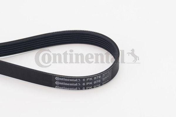 Continental V-Belt CTAM 6PK976 - Reliable Performance for Peugeot 1.6HDi — Belts