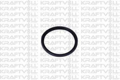 Kraftvoll 10031247 *5 Turbo Hose Gasket Renault Fluence 1.5 dCi-Megane III 1.5 Dc — Turbo & Supercharger
