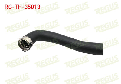 REGUS RG-TH-35013 Turbo Hose Renault Master III (Fv) 2.3 dCi 2010 — Turbo & Supercharger