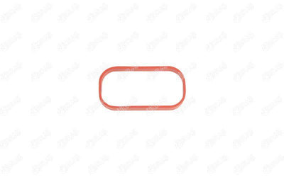 İbraş 21093 Manifold Gasket Intake 500 1.3 Mtjt 07 /Doblo 1.3 JTD 00 /Combo 1.3 CDTi 05 Corsa C D 00 09 — Gaskets & Seals