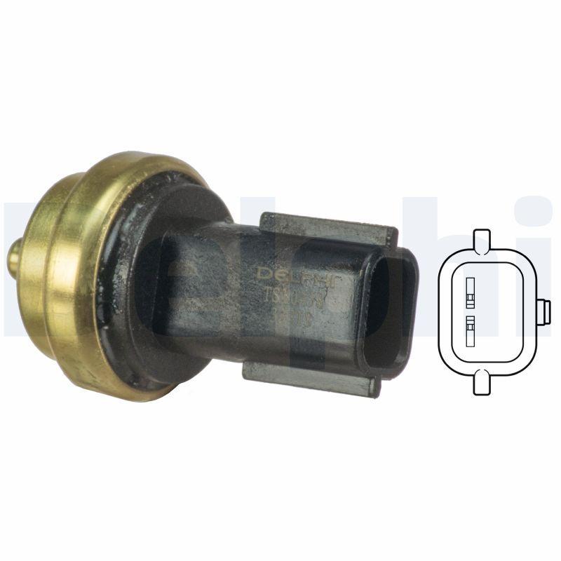 Delphi TS10458 Temperature Sensor Clio III/Megane II/Kangoo/Laguna/Scenic/Fluence/Trafic, Juke/Navara/Pulsar/Qashqai