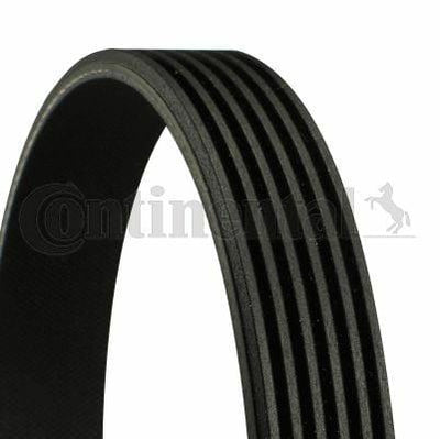 Continental CTAM 6PK2065 - High-Quality V Belt for Chevrolet Captiva V — Belts
