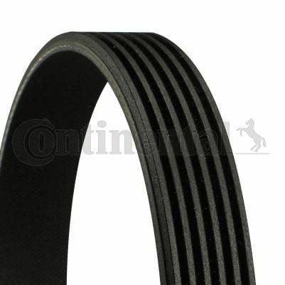 Continental CTAM 6PK2065 - V Belt for Chevrolet Captiva V — Belts