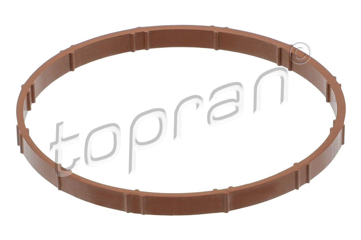 Topran 504934 *5 Manifolt Gasket Intake 2008-207-208-3008 I-II-308 I-II-5008 I-II-508 I-II-Rcz Ep6 Mini Coo — Gaskets & Seals