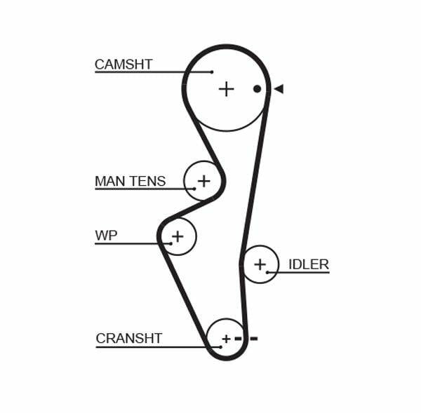 GATES 5430XS Timing Belt - Reliable Performance for Nissan Sunny 1.7 — Belts