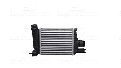 Wisco 3113820-00 Turbo Radiator (Intercooler) 256X217x64 Dacia Duster Renault Captur Clio 4 1.2 TCE 1.5 dC — Radiators & Fans