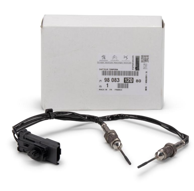 PSA Citroen Berlingo VU Particulate Sensor - Euro6 Compatible — Emission Control