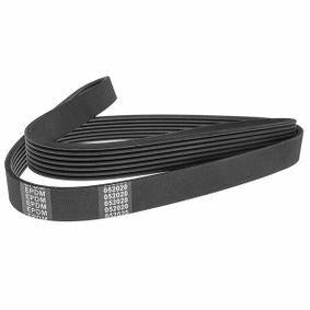 Bosch 1987948381 Volkswagen Crafter 2017 Model onwards 2.0 TDI Motor V Belt — Belts