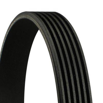 CONTINENTAL CTAM 6PK 1955 V Belt Ford Transit 2.3 16V 00-06 — Belts