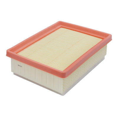 Filtron AP133-9 Air Filter Jogger Sandero III Stepway III Taliant 1.0 Sce B4d 1.0 TCE H4d — Air & Cabin Filters