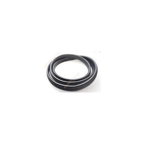 YTT Renault Fluence Front Door Seal — Glass & Trim