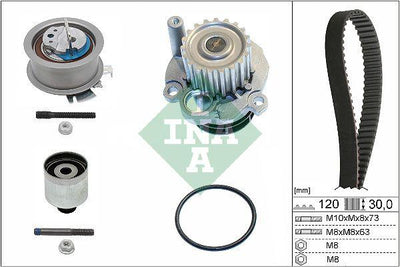 INA 530020132 Camshaft Tensioner Kit with Water Pump (120X30) T5 Caddy III Jetta Golf V 1.4 1.9 TDI — Water Pump & Thermostat