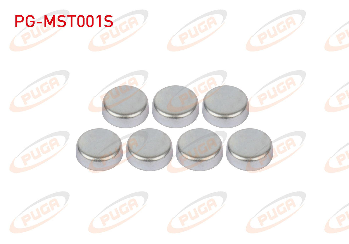 PUGA PG-MST001S Motor Su Blok Plug Set Linea / Doblo / Egea / Palio / Albea 1.3 Mtj — Cylinder Head & Block