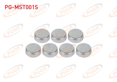PUGA PG-MST001S Motor Su Blok Plug Set Linea / Doblo / Egea / Palio / Albea 1.3 Mtj — Cylinder Head & Block