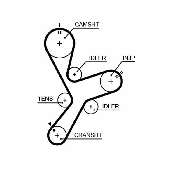 GATES 5641XS Timing Belt - 154 Teeth, 25.4mm Width — Belts