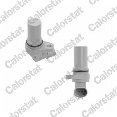 CALORSTAT BY VERNET CS0312 — Pistons & Rotating