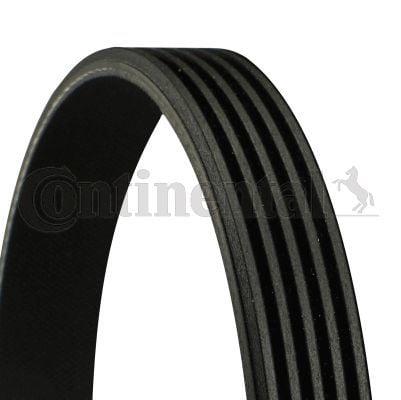 Continental CTAM 5PK2060 V-Belt for BMW E46 E39 X5 — Belts