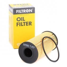 Filtron OE666-5 Oil Filter Renault Master III-Megane III-IV-Laguna III-Trafic II-III-Talisman-Qashqai J10-J11 X — Oil Filters