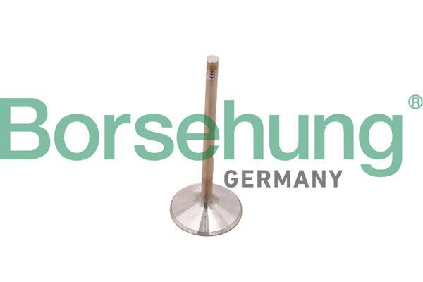 Borsehung B10348 Valve Exhaust Mercedes W203-204-W211-W212-Spırınter M272